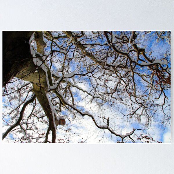 Item preview, Twisted Branches designed and sold by Paul Bettison.