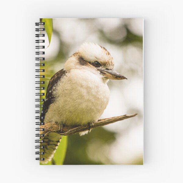Item preview, Kookaburra designed and sold by jennyjones.