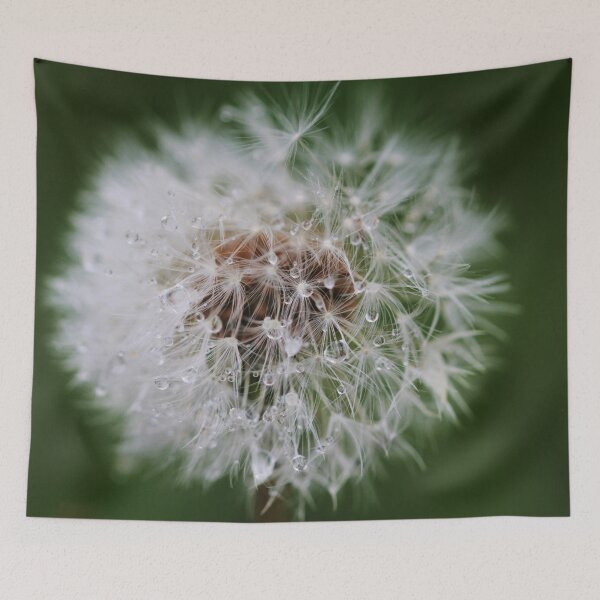 Item preview, A Dandelion After Rain 2 designed and sold by Lydia Planalp.
