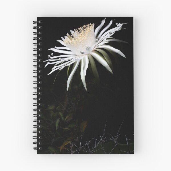 Item preview, Acanthocereus Bloom designed and sold by Mario Morales Rubi.