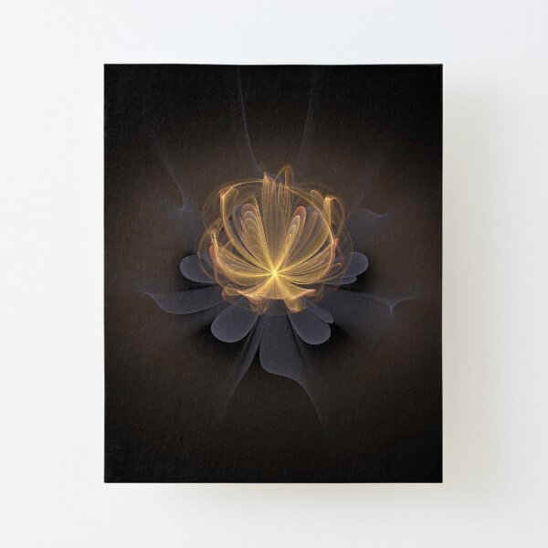 Lotus of Light Canvas Mounted Print