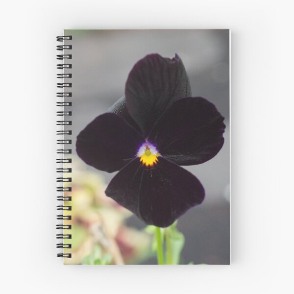 Item preview, Black Petal Pansy designed and sold by LizardSpirit.