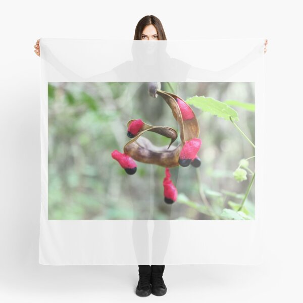 Red and Green Color Scarf