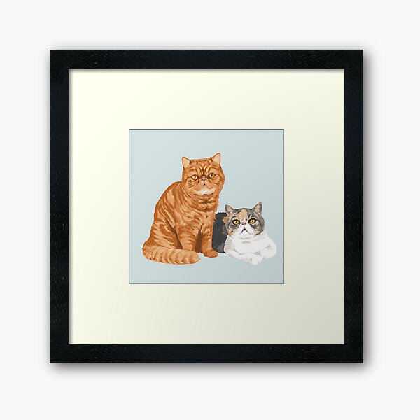 Item preview, Rufus & Olive / Exotic Shorthair Cat Art | Exotic Shorthair Pouch Exotic Shorthair Tote Bag Exotic Shorthair Shirt Exotic Shorthair Phone Case Exotic Shorthair Pillow designed and sold by conkberry.