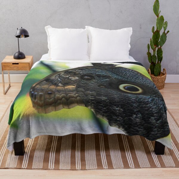 Item preview, Owl Butterfly designed and sold by Lydia Planalp.