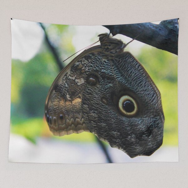 Item preview, Owl Butterfly designed and sold by Lydia Planalp.
