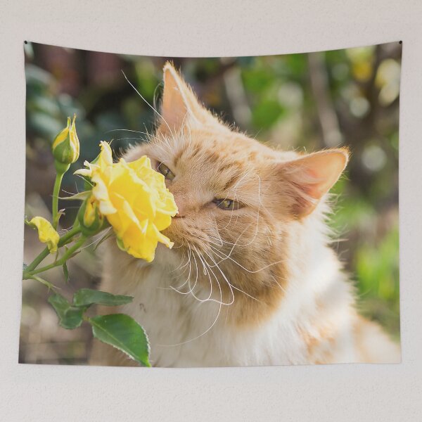 Item preview, Kitty Rose designed and sold by Penny Kittel.