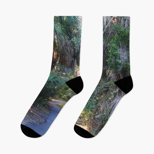 Item preview, Jungle Path 3 designed and sold by Lydia Planalp.