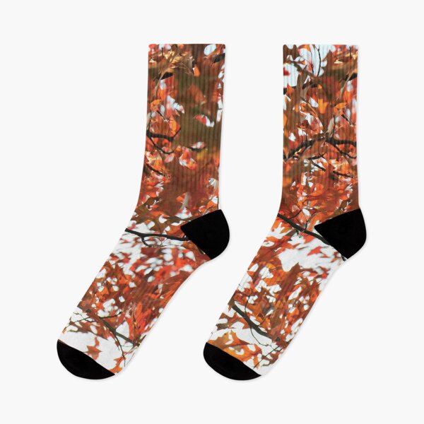 Item preview, October Orange designed and sold by RVogler.