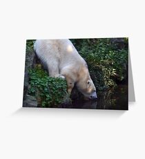 Curiousity Greeting Card