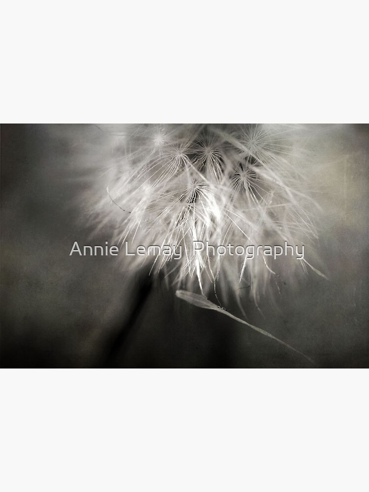 Separation of Love by ajlphotography