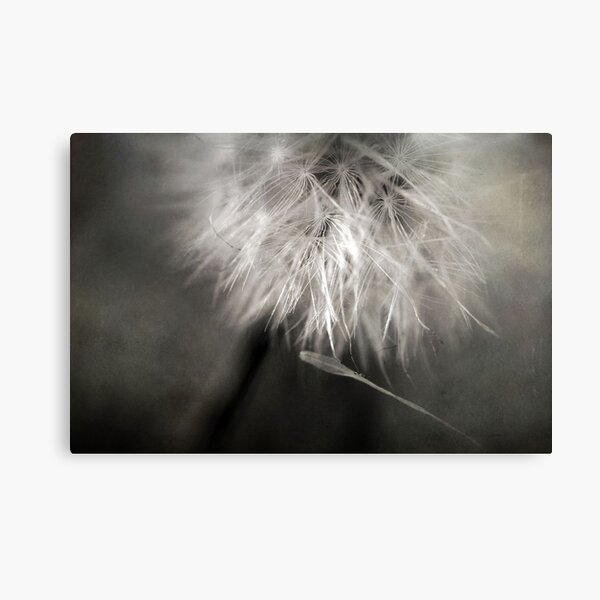 Separation of Love Canvas Print