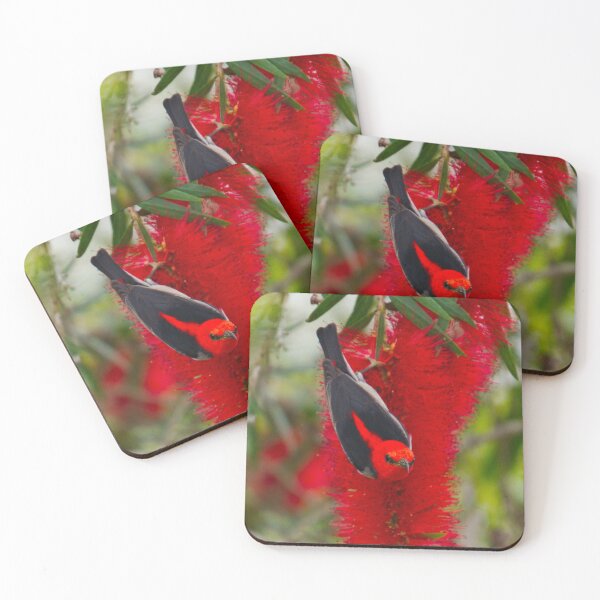Item preview, SC ~ HONEYEATER ~ Scarlet Honeyeater PbVisevp by David Irwin ~ WO 030919 designed and sold by tasmanianartist.