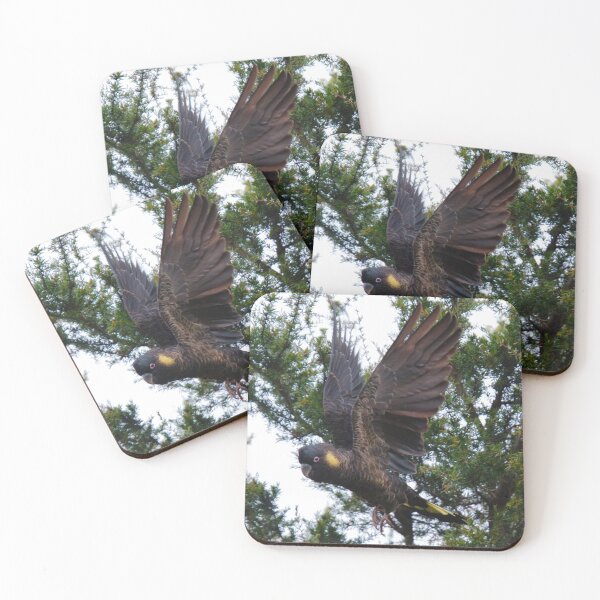 Item preview, PARROT ~ Yellow-tailed Black Cockatoo dSynu5tW by David Irwin ~ WO 030919 designed and sold by tasmanianartist.