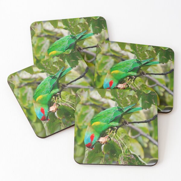 Artikelvorschau, PARROT ~ Moschus Lorikeet vfii6weu von David Irwin 040919 entworfen und verkauft von tasmanianartist.