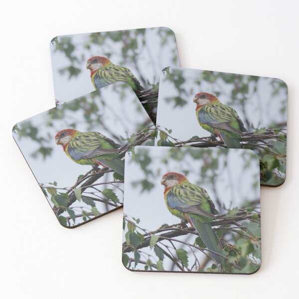 Item preview, PARROT ~ Eastern Rosella pcBZ3STK by David Irwin 040919 designed and sold by tasmanianartist.