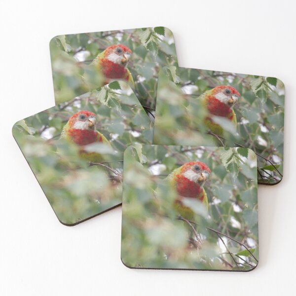 Item preview, PARROT ~ Eastern Rosella fYYpswRp by David Irwin 040919 designed and sold by tasmanianartist.