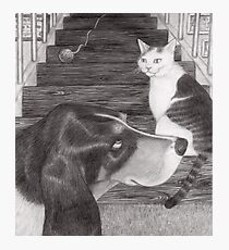 Friends Photographic Print