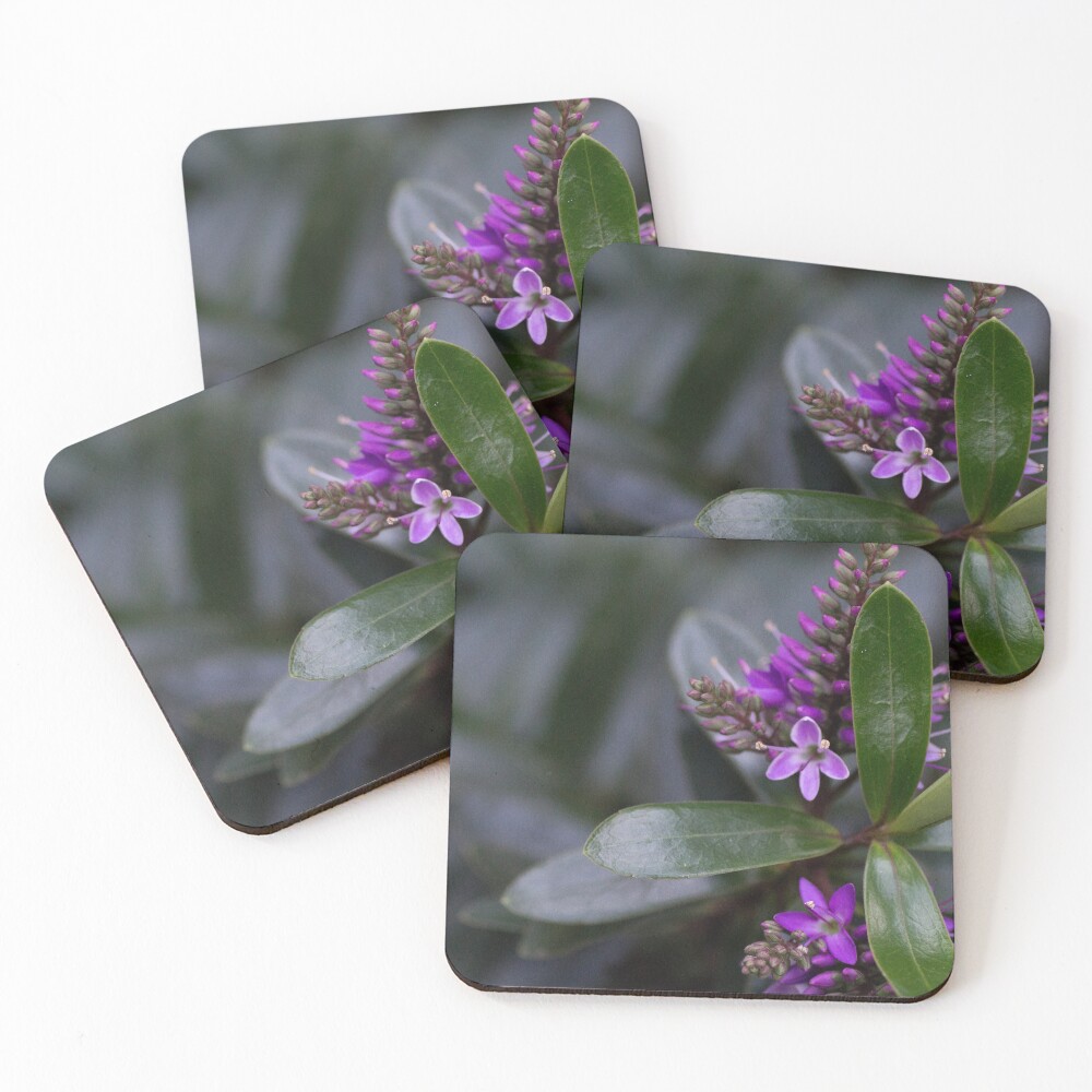 Item preview, Coasters (Set of 4) designed and sold by EmField.