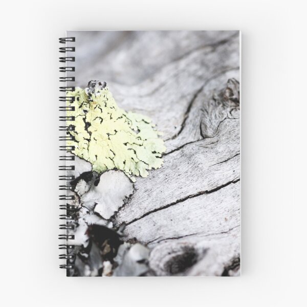 Item preview, Madera de deriva designed and sold by EmField.