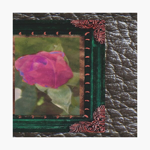 cool only2 Photographic Print