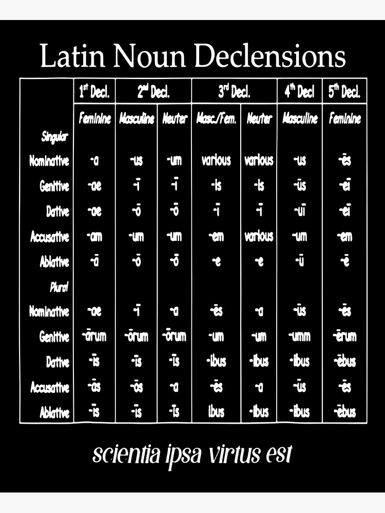 Latin Noun Declension Chart For Classical Education Poster By 2866