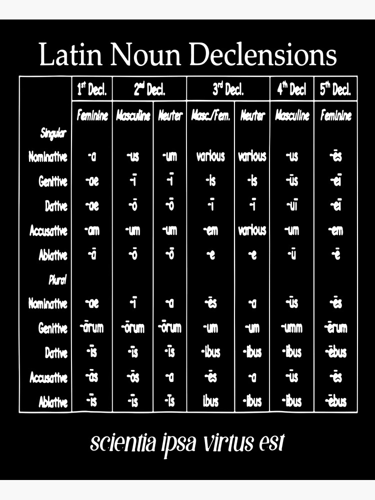  Latin Noun Declension Chart For Classical Education Poster By IsaacMarqua Redbubble