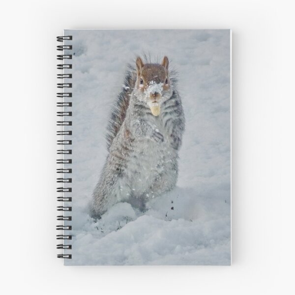 Item preview, Hiders Can Find designed and sold by AnnDixon.