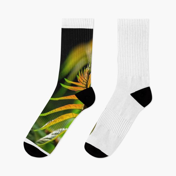 Item preview, green plant on black background designed and sold by olena2552.