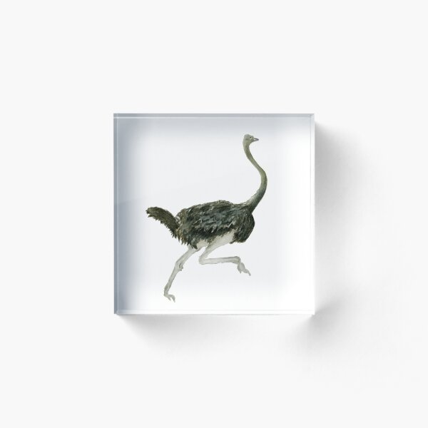 In a Flap Acrylic Block