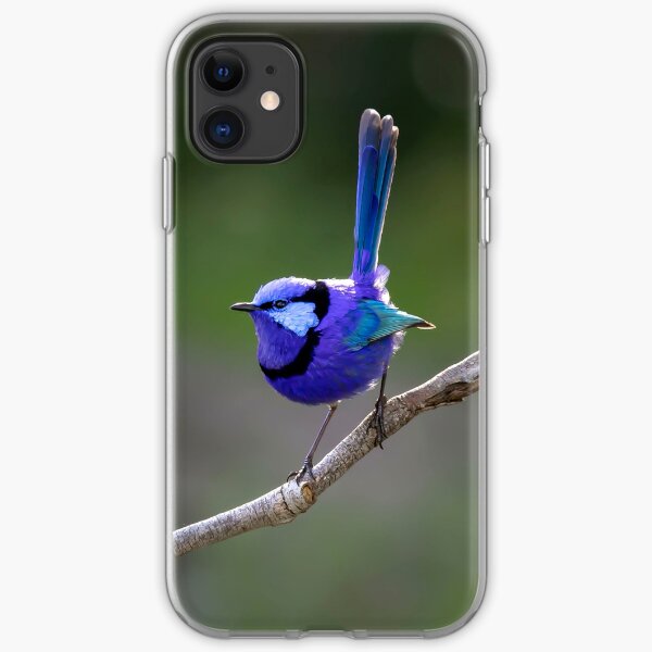 Bruce the Blue Wren in afternoon light iPhone Soft Case