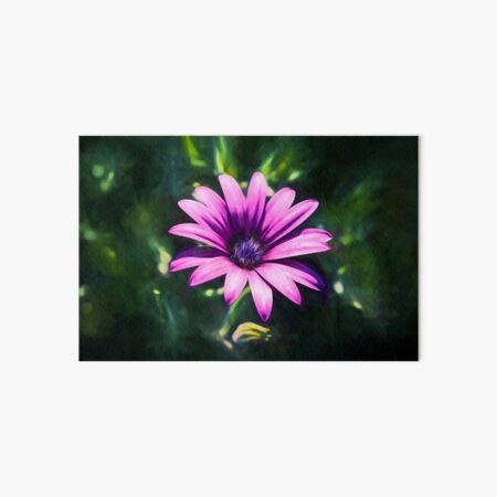 Pink Daisy (digital painting) Art Board Print