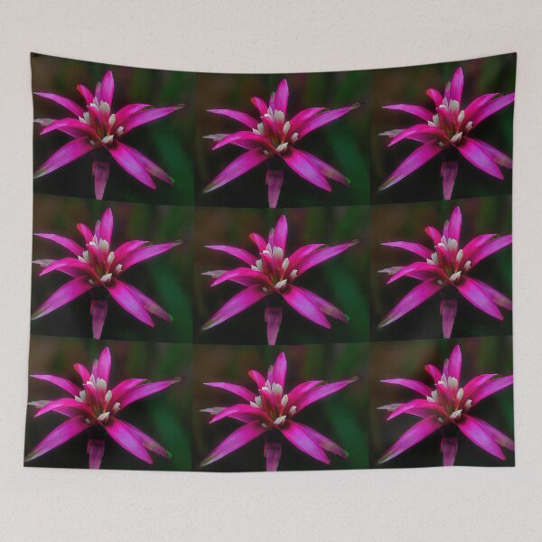 Item preview, Pink Bromeliad designed and sold by Margaret Stevens.