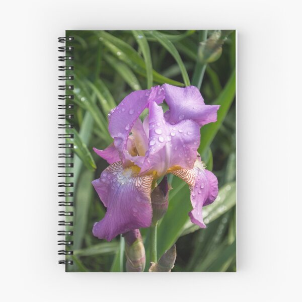 Item preview, Silky Purple Petals - Springtime Rainshower Garden designed and sold by Georgia Mizuleva.