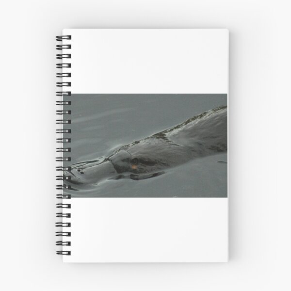 Item preview, Platypus (Pano) designed and sold by inthewild.
