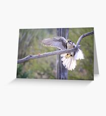 "My sights or on!" Greeting Card
