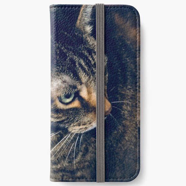 Ginger Cat Another Portrait iPhone Wallet