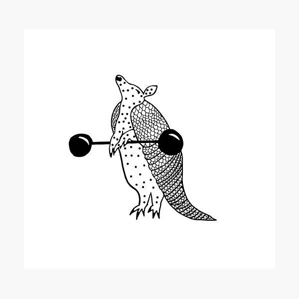 Weight Lifting Armadillo Photographic Print