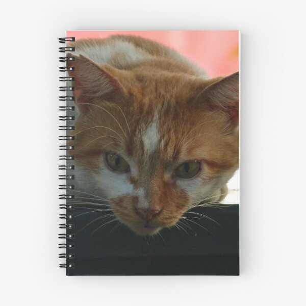 Item preview, cat - gato designed and sold by Bernhard Matejka.