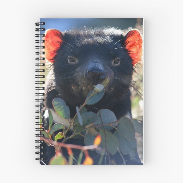 Item preview, Tasmanian Devil (Male) designed and sold by inthewild.