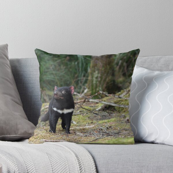 Item preview, Tasmanian Devil (Wild Sub-adult) designed and sold by inthewild.