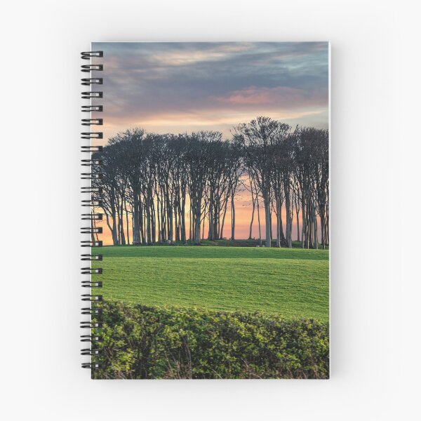 Item preview,  nearly home trees Cornwall at sunset designed and sold by kathleenjean.