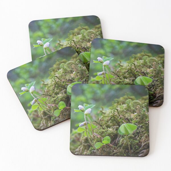Item preview, Romantic white spring flower, clover and lichens on the background designed and sold by Millenn.