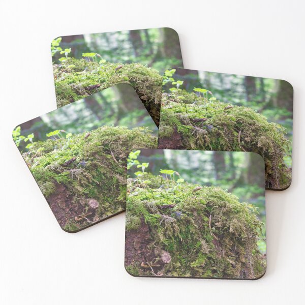 Item preview, Mini Forest on a log covered with lichen and moss, close-up image designed and sold by Millenn.