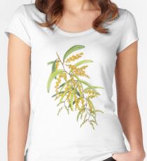 Australian Wattle Flower, Illustration Fitted Scoop T-Shirt