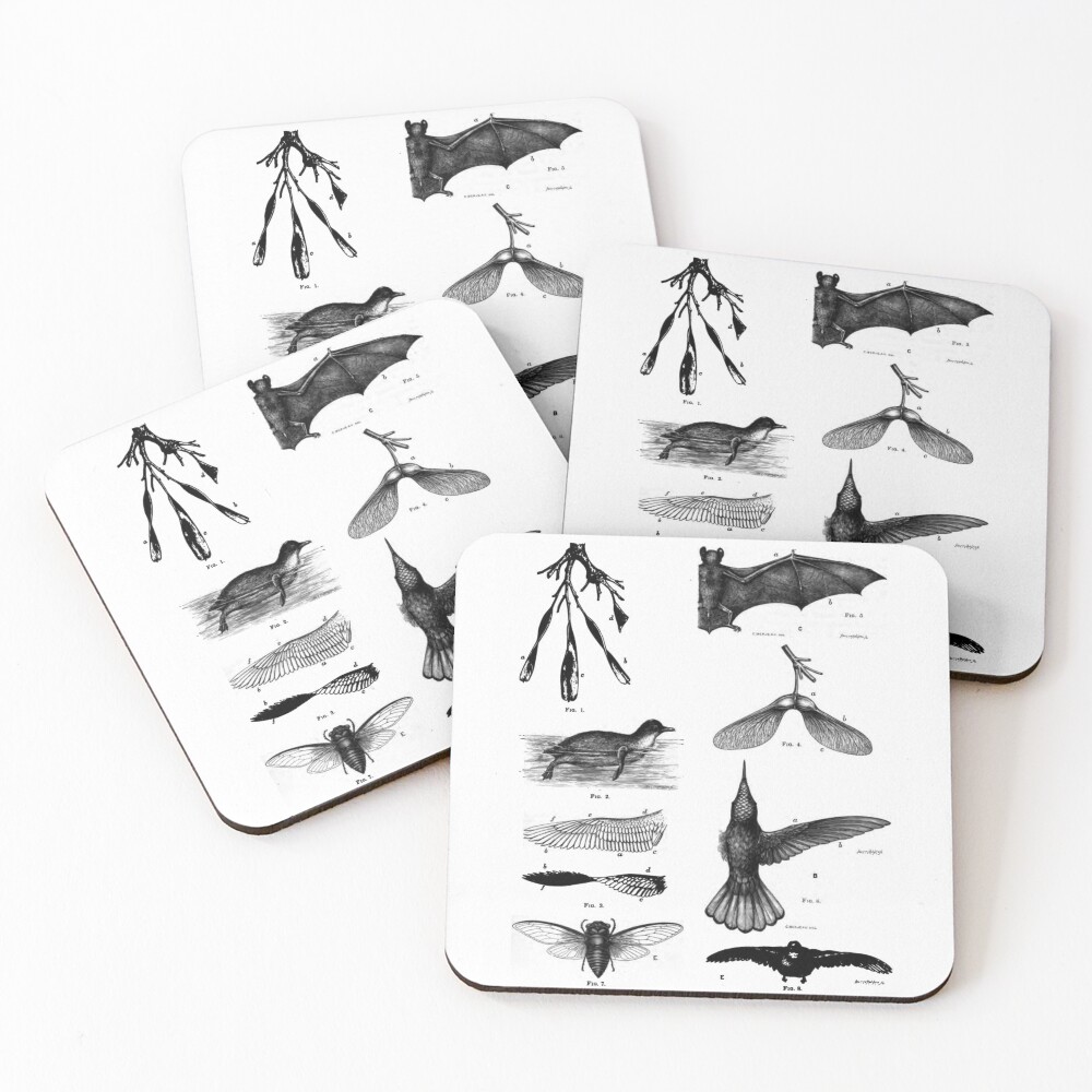 Item preview, Coasters (Set of 4) designed and sold by bluespecsstudio.