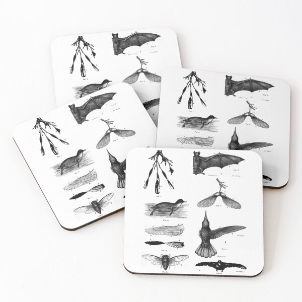 Item preview, Wing Design In Nature designed and sold by BlueSpecsStudio.