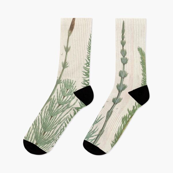 Artikelvorschau, Botanische Schachtelhalme entworfen und verkauft von BlueSpecsStudio.