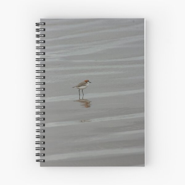 Item preview, Red Capped Plover designed and sold by inthewild.