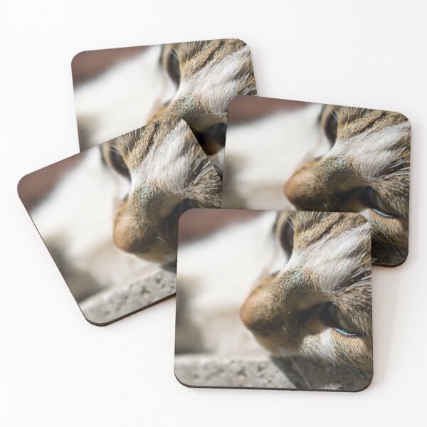 Item preview, Stray cat face image, close up animal photography designed and sold by Millenn.